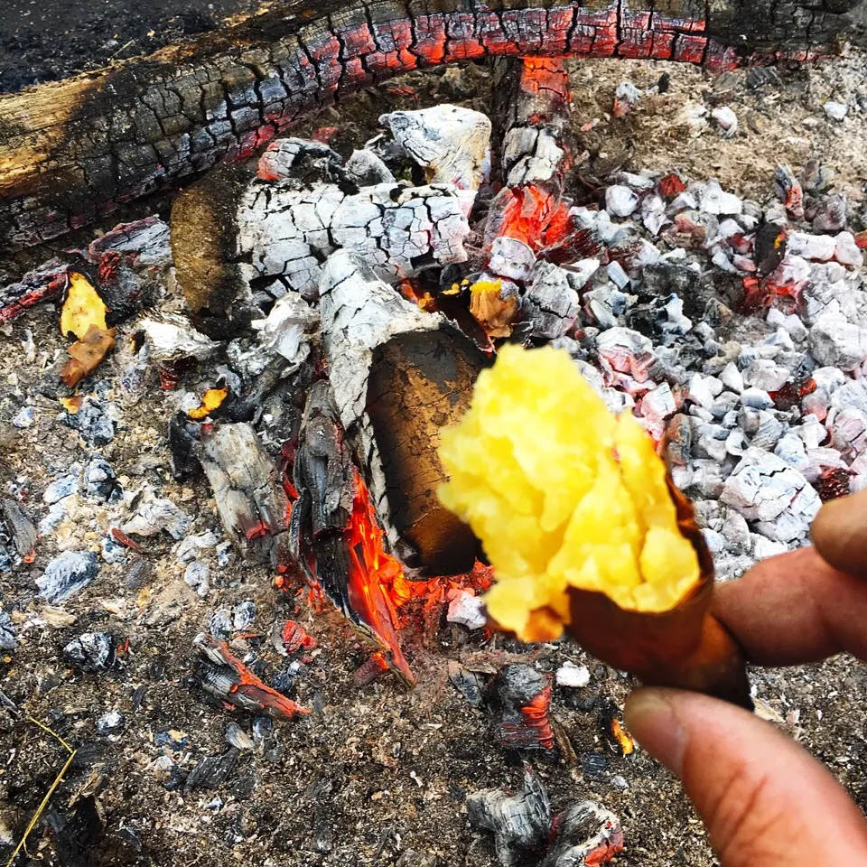 焼き芋〜っ！|ち〜おんさん