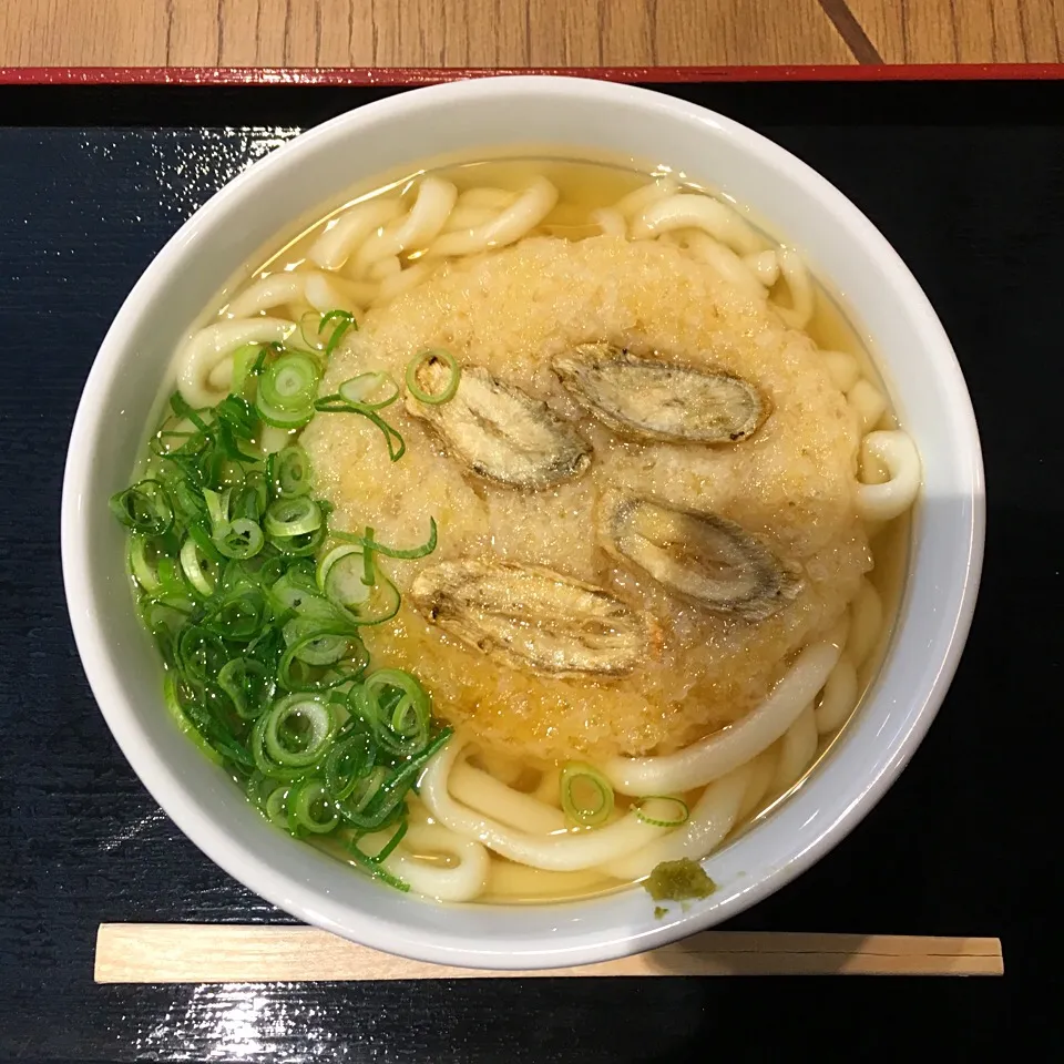 ごぼう天うどん|hirotomoさん