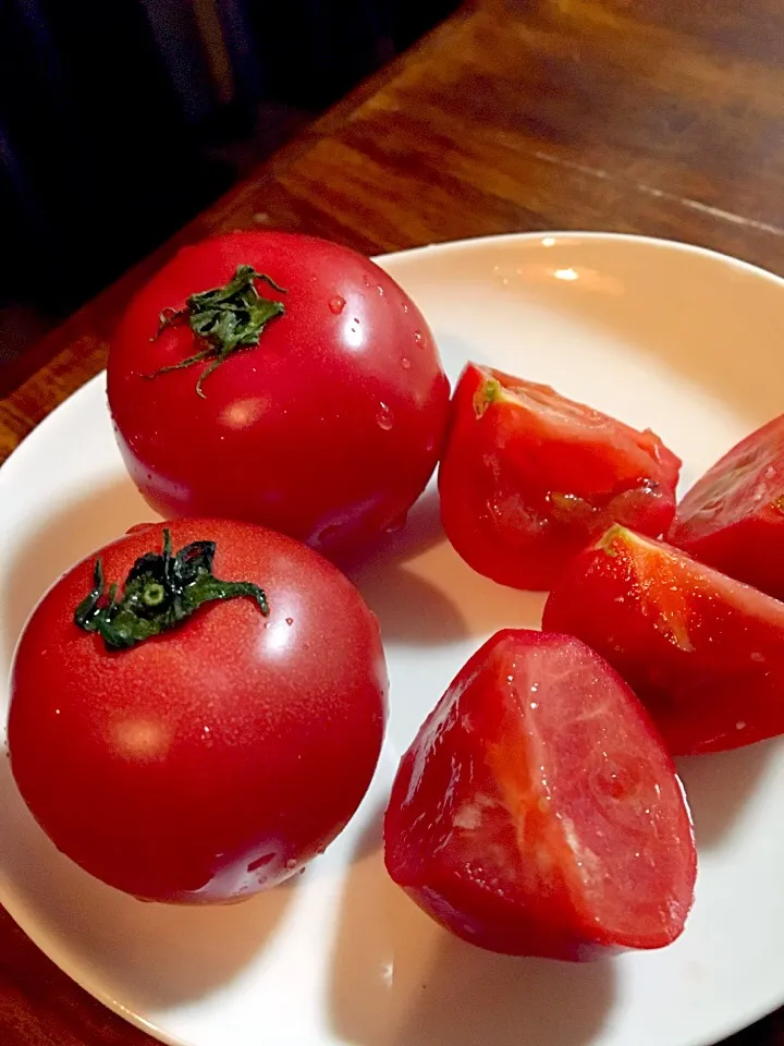 熊本八代産🍅塩トマト🍅|らんさん