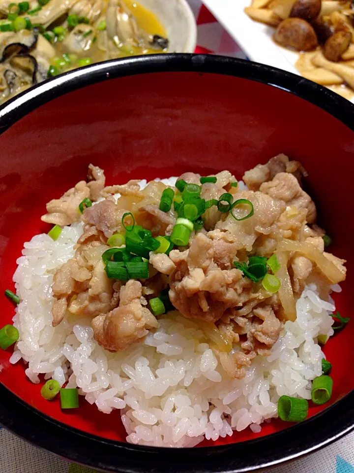 ３月１４日
牛丼風な豚丼|Yu Yu mamaさん