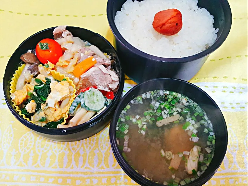 お弁当。ほうれん草しめじ卵と豚と野菜のさっぱり煮とマカロニサラダとお味噌汁。|エリカさん