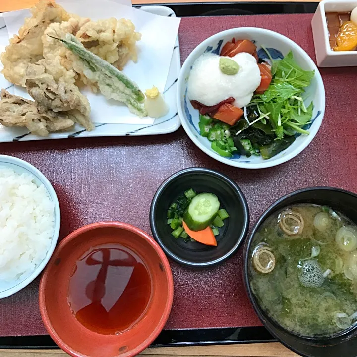 Snapdishの料理写真:豚ヒレ肉と舞茸天ぷら/漬けまぐろと野菜とろろ掛け/味噌汁|山内博之さん