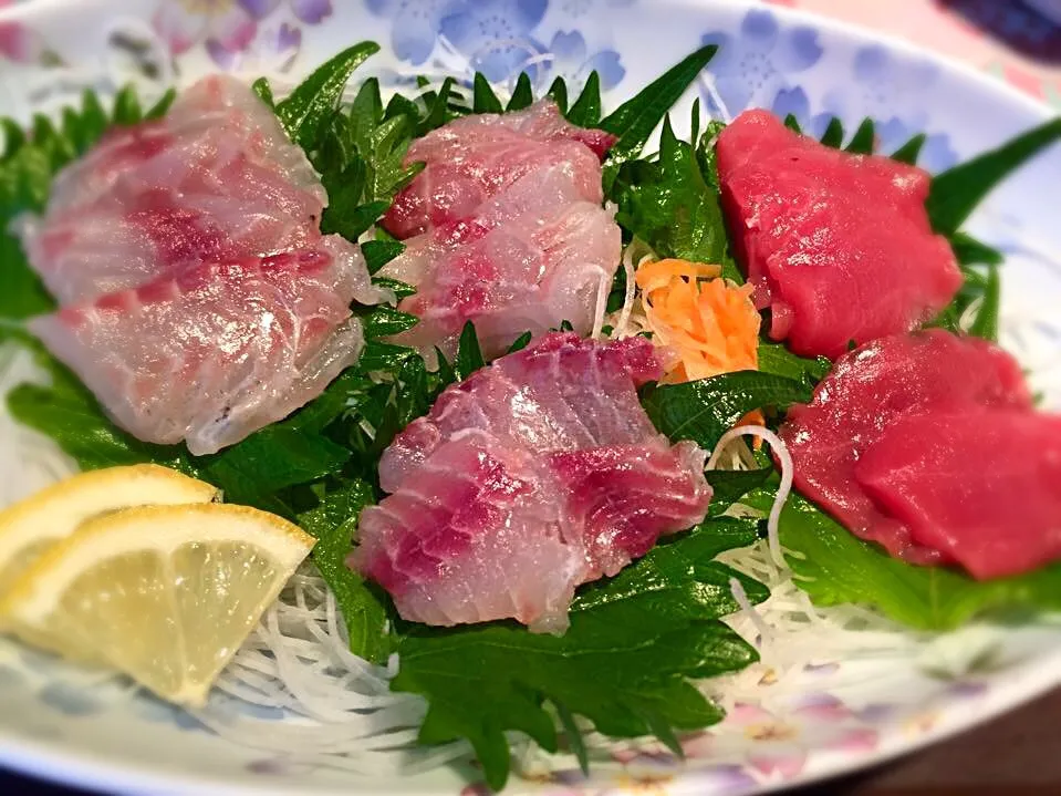 自分で捌いたイサキでお刺身♪マグロは買ったものですが（笑）|ナベぞうさん