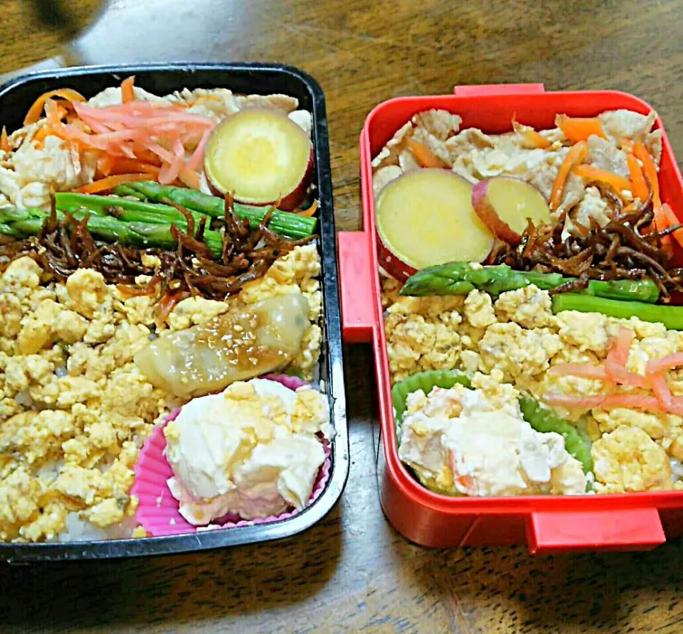 娘、旦那弁当🍱
  豚バラ  卵そぼろ|miimiさん