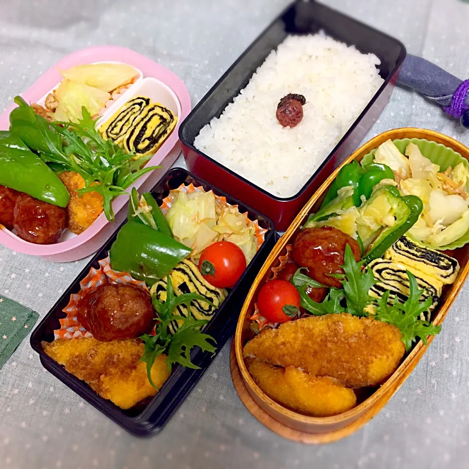 Snapdishの料理写真:3/16 中学男子のお弁当&パパ弁&母弁|おおけいさん