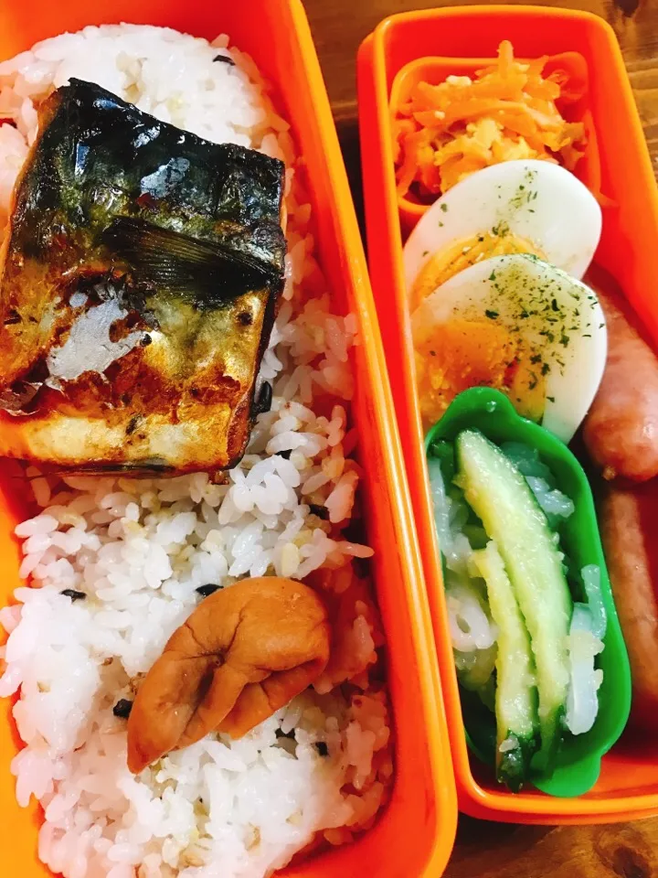 Snapdishの料理写真:今日のお弁当#自家製梅干し #焼き塩サバ #ウィンナー#人参しりしり #ゆで卵にバジル塩 #きゅうりと乾燥白滝のセロリドレッシング和え|料理家めーらさん