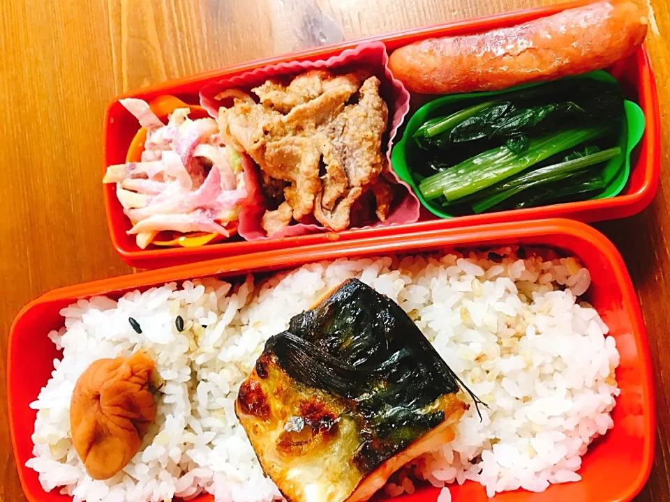 今日のお弁当#自家製梅干し #焼き塩サバ #ウィンナー#紫小松菜のお浸し#紅心大根とツナのサラダ#豚コマの胡麻和え|料理家めーらさん