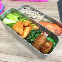 Snapdishの料理写真:2017/3/13弁当|とみえさん