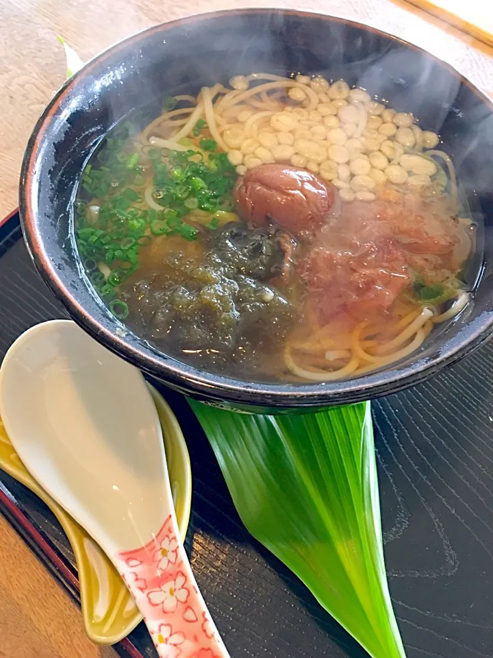 Snapdishの料理写真:五島梅うどん🍜|chikako sugimoto357さん