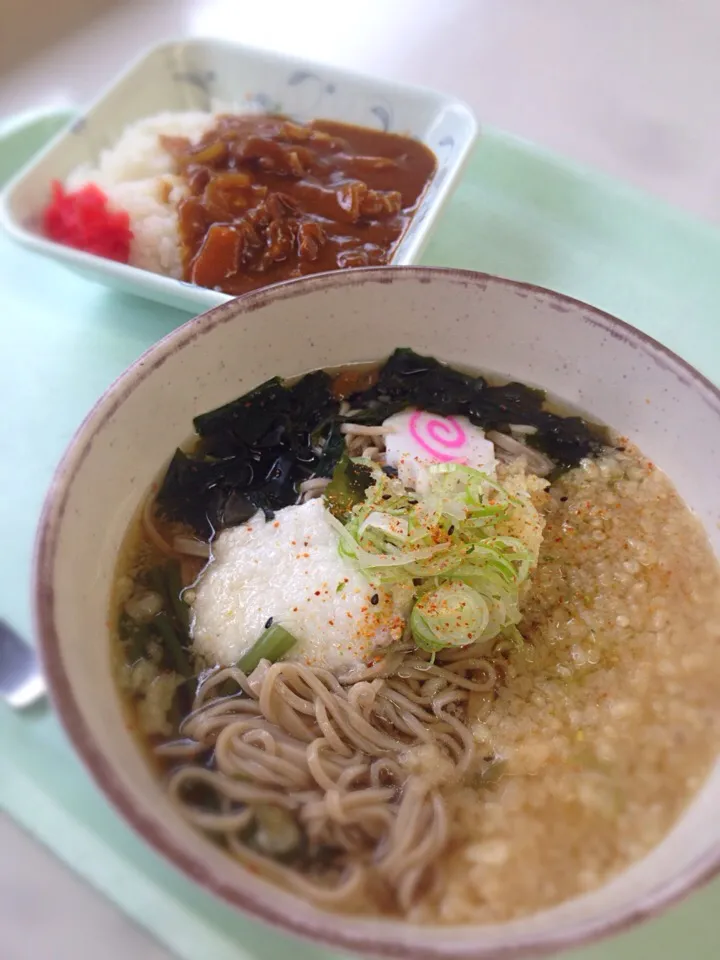 国立市役所 食堂 
とろろ蕎麦 ミニカレー セット
520円|Keiichi Ikegami Ikeichiさん