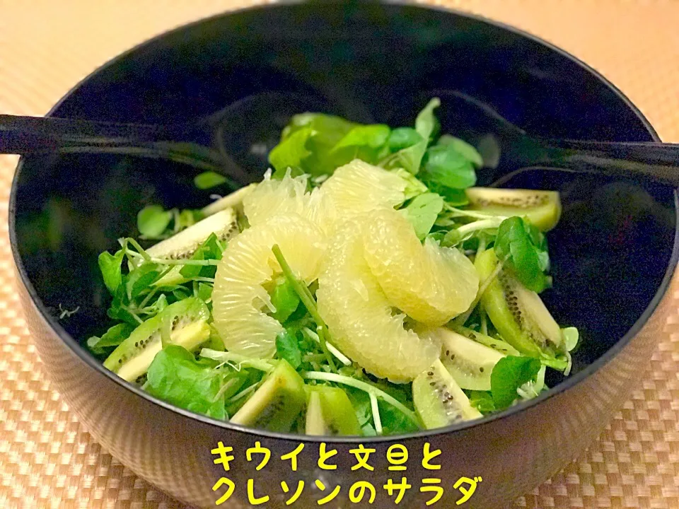 Snapdishの料理写真:キウイと文旦を頂いたので
クレソンとサラダにしてみました😊|maromaronyankoさん