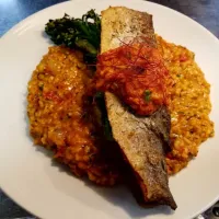 Pan Seared Rainbow  Trout  with Grilled Broccolini and  served  over Roasted Red Pepper  and Sun Dried Tomato  Rissoto...