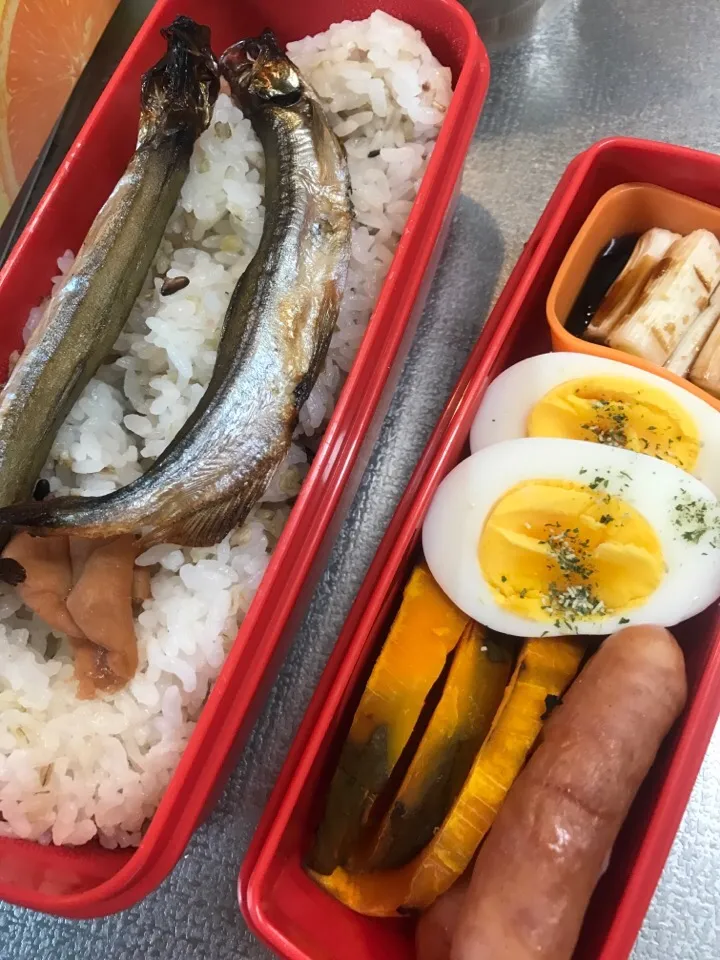 Snapdishの料理写真:今日のお弁当#自家製梅干し #焼きししゃも #ウィンナー #かぼちゃのグリル焼き#焼きネギポン酢#茹で玉子 にバジル塩|料理家めーらさん