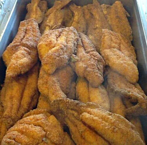 ❤🐟🍽🐟❤Fish Fry Friday ❤🐟🍽🐟❤ Southern Fried Catfish 🐟❤🐟 #Seafood #Fish #Dinner #Lunch #Party #Lifestyle ❤🐟🍽🐟❤|Alisha GodsglamGirl Matthewsさん