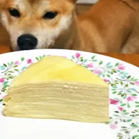 Snapdishの料理写真:Mille Crepes|Emilyさん