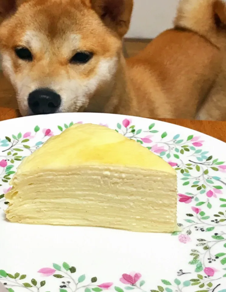 Snapdishの料理写真:Mille Crepes|Emilyさん