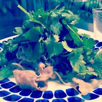 豚肉とパクチー