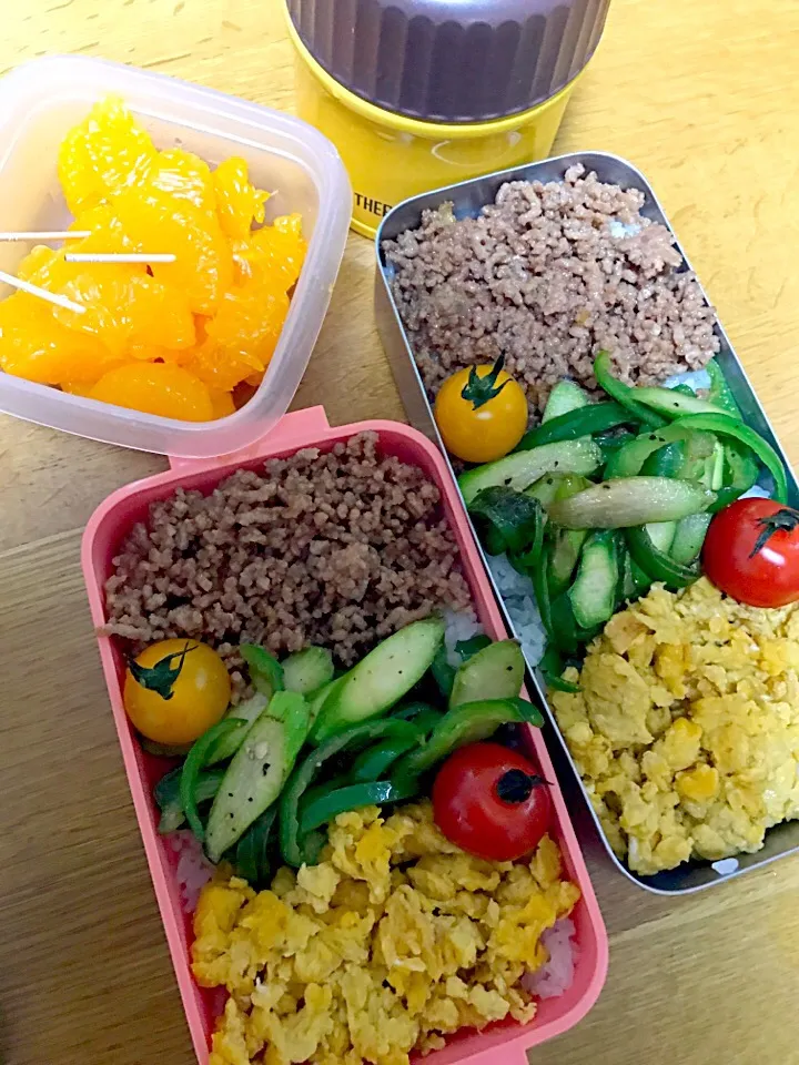 肉そぼろ3色弁当。パパ仕事、娘ミニバス弁当🏀|めぐりんさん