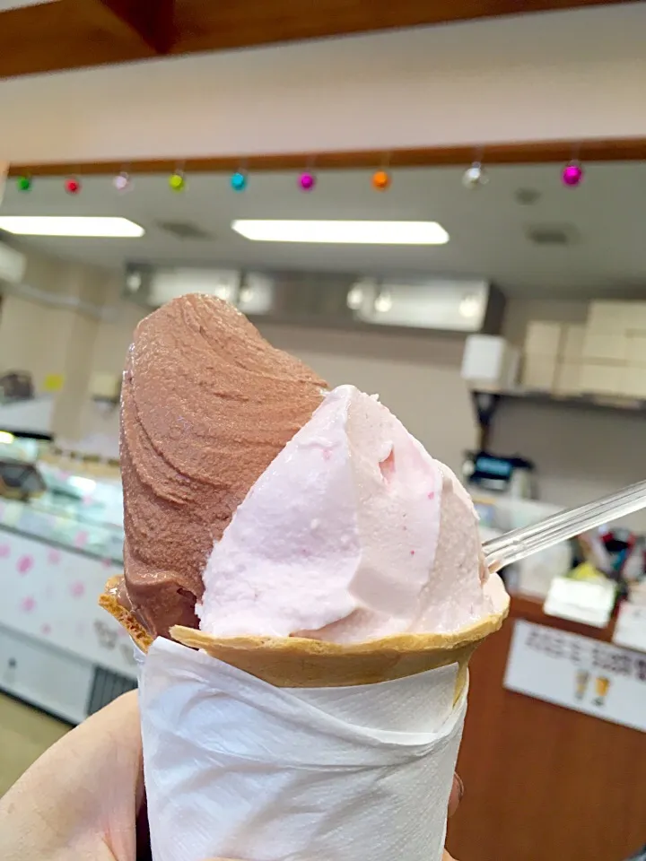 友人と皮道27kmサイクリングして念願のジェラートを食す😆💕|MIEKO 沼澤三永子さん