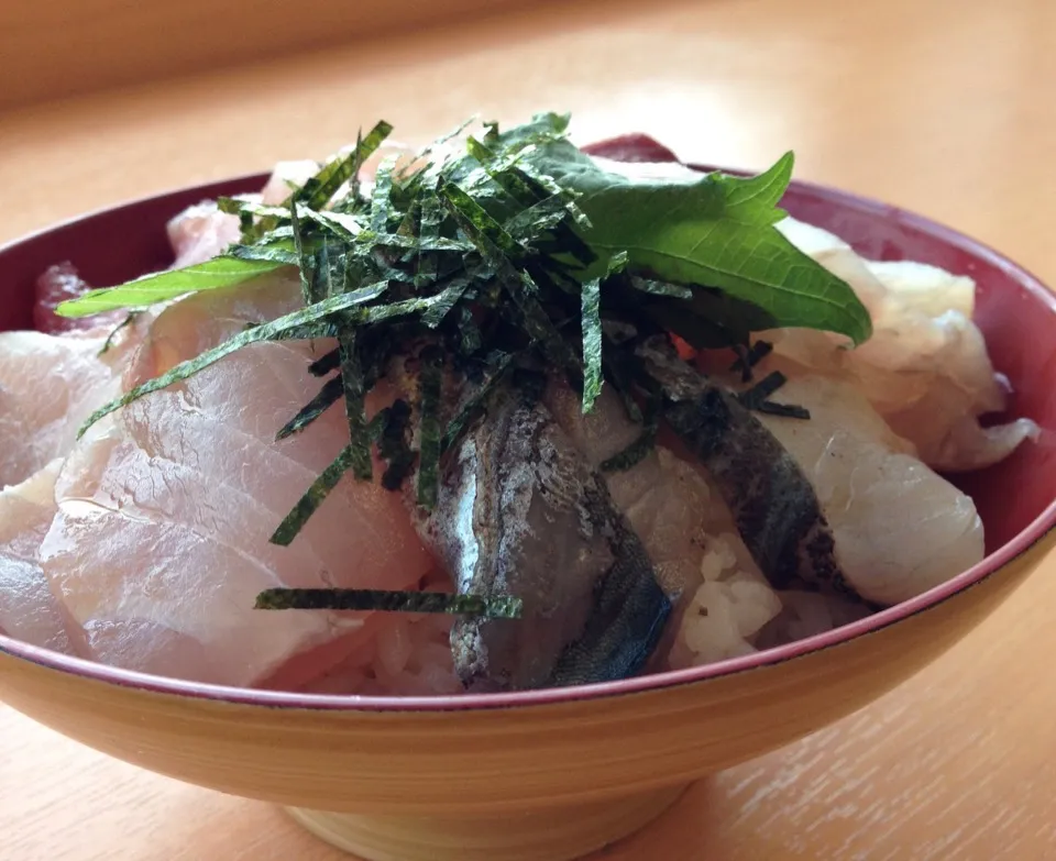 スズキ、ニベ、ビンチョウ、サゴシ、ブリの海鮮丼|koji toyodaさん