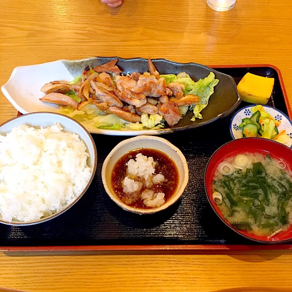 Snapdishの料理写真:地鶏ポン酢定食@うおたみ|鮎さん