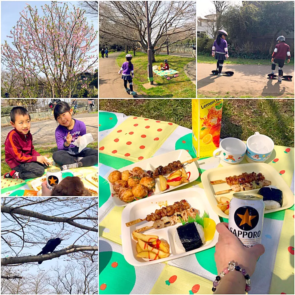 Cherry‐blossom viewing picnic🍻花見🌸|🌈Ami🍻さん