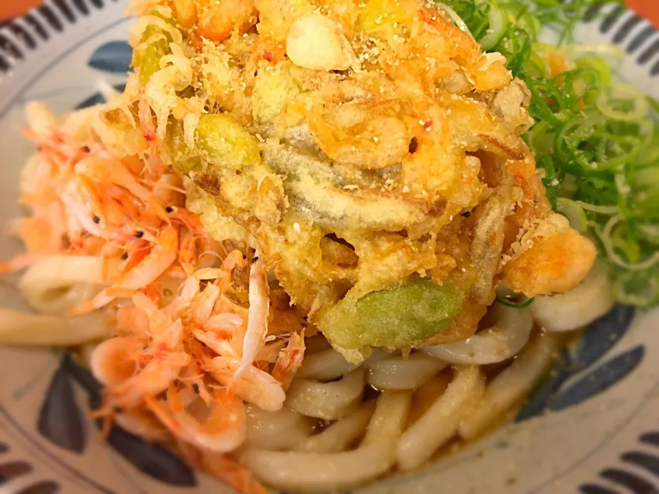 Snapdishの料理写真:桜海老とそら豆のかき揚げぶっかけうどん大🌸🦐|buhizouさん