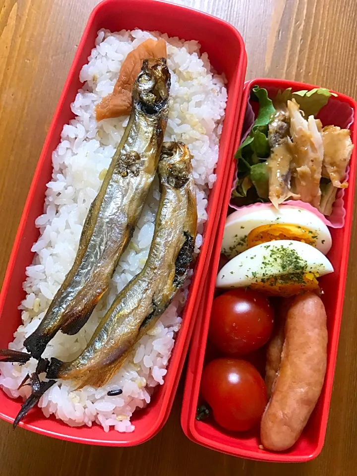 今日のお弁当#茹で玉子にバジル塩#ウィンナー #焼きししゃも #自家製梅干し #ミニトマト #スモークチキンのサラダ|料理家めーらさん