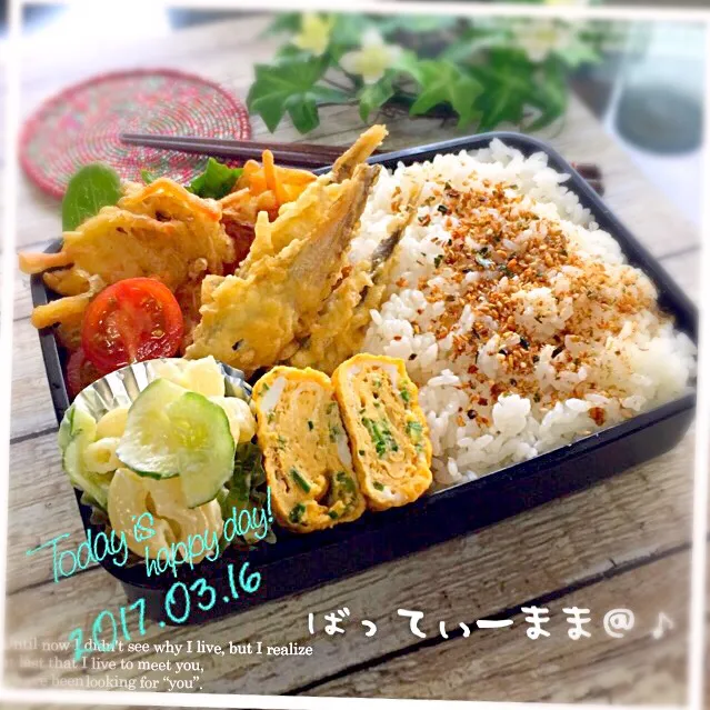 Snapdishの料理写真:ししゃものフライ弁当～♡ #ばってぃーまま＠♪の節約しても美味しいお弁当|ばってぃーまま＠♪さん