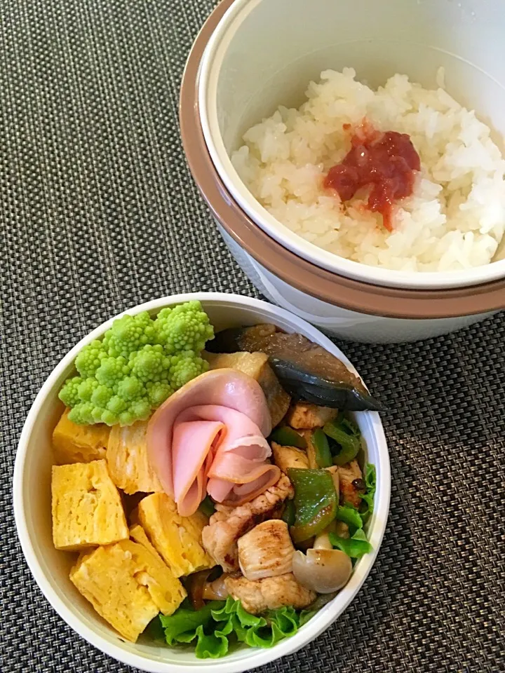 Snapdishの料理写真:ガパオお弁当✴︎|mikiさん