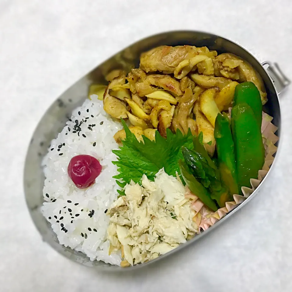 梅干しごま塩ごはん
鶏肉とエリンギのカレーソテー
焼き鯖ほぐし
アスパラとスナップエンドウごま油醤油|Juneさん