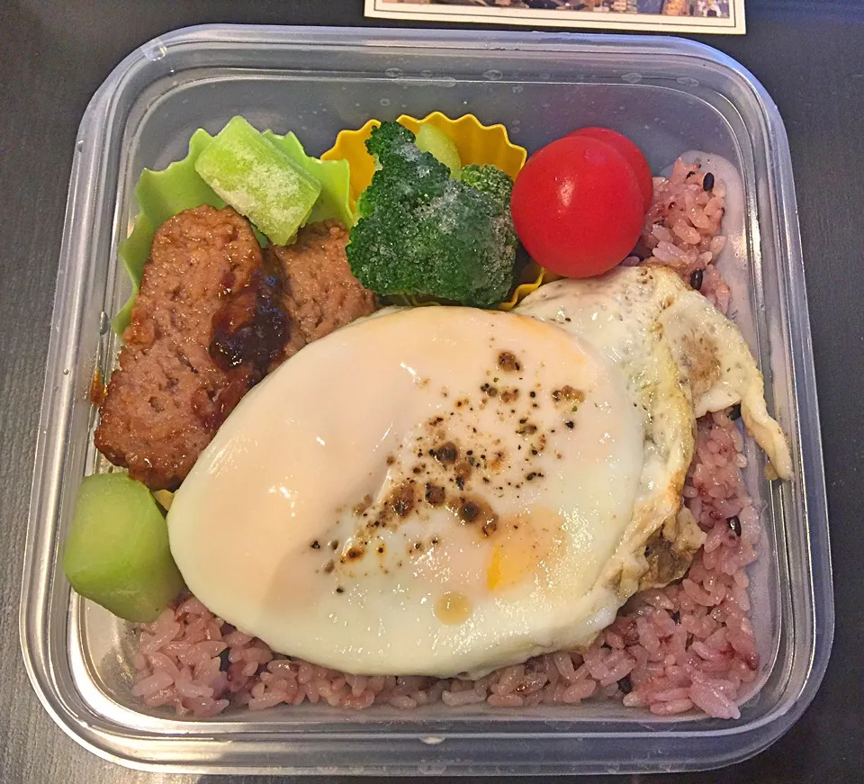 3/21 本日のジップロックお弁🍱 ロコモコ
#今日のお弁当|BUBUさん