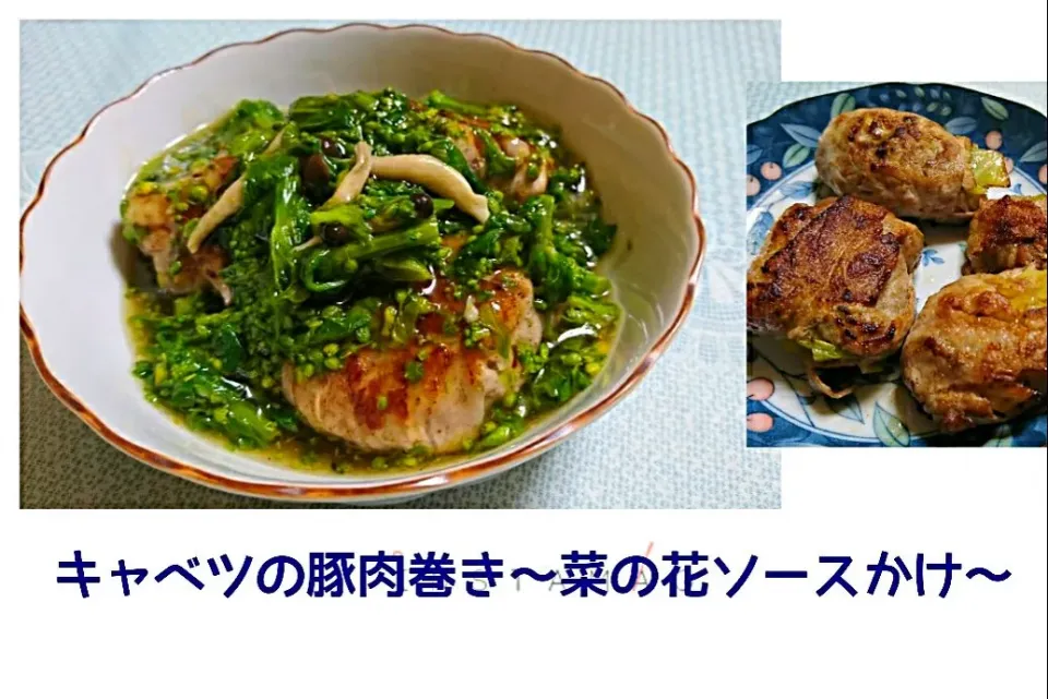 キャベツの豚肉巻き～菜の花ソースかけ～|かよさん