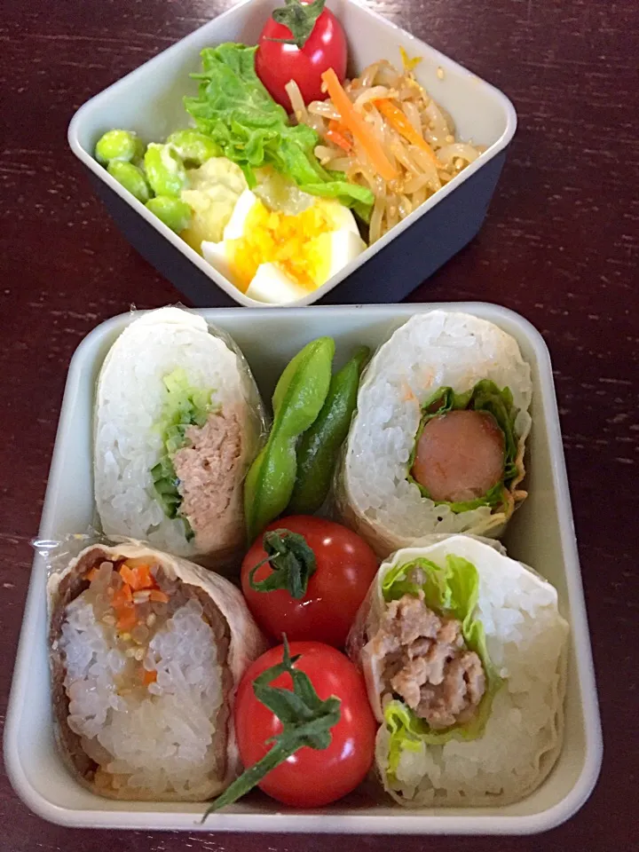 Snapdishの料理写真:なんでも巻ける手巻きの皮で色々な具とご飯の弁当|Erikoさん