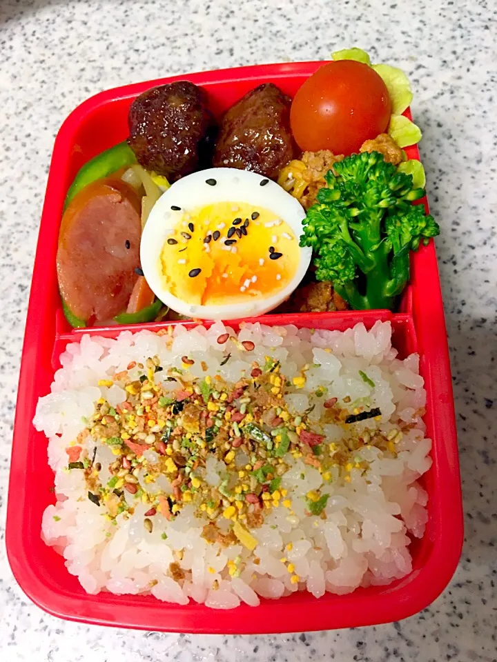 息子お弁当☆
野菜炒め
肉団子
ミートスパゲティ|かねしろ食堂さん