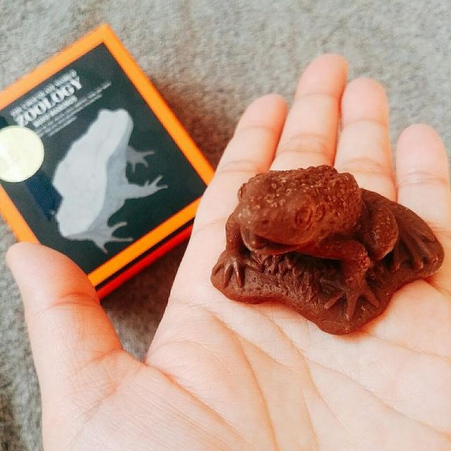 Zoologyのチョコ めちゃめちゃ可愛い全部欲しいけど食べれないので迷った挙句 ヒキガエルを買いました背中のブツブツが気持ち悪いぐらいリアル 笑 本物のカエルは触れません触ったら即死です Oo パタッ Kashimanakitchen Snapdish スナップ