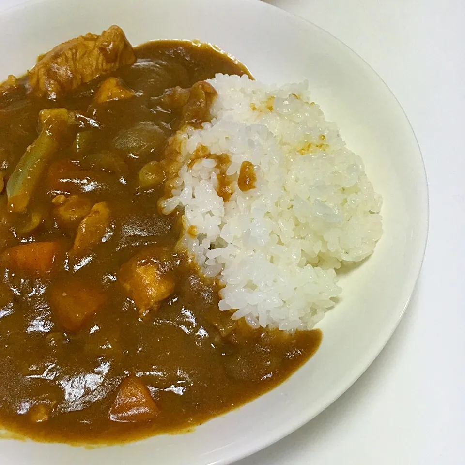 カレーライス|エリカルさん