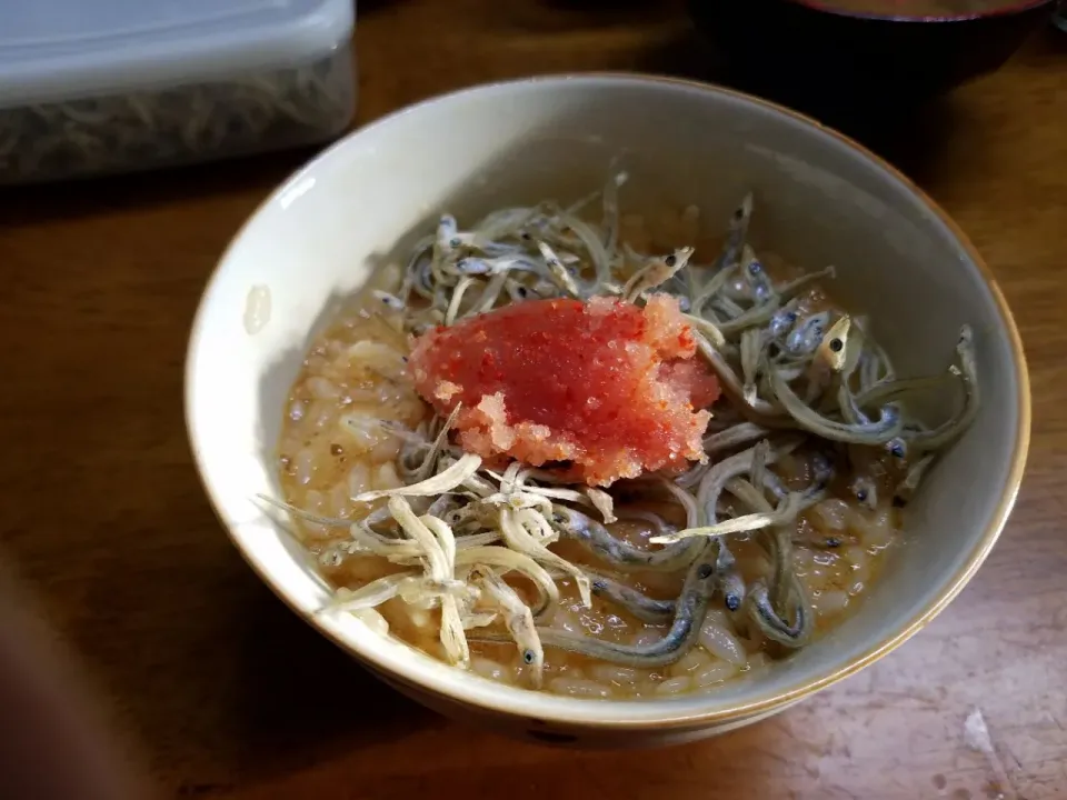 卵かけご飯にじゃこと明太子を乗せて #朝ご飯|Morito Kamiyaさん