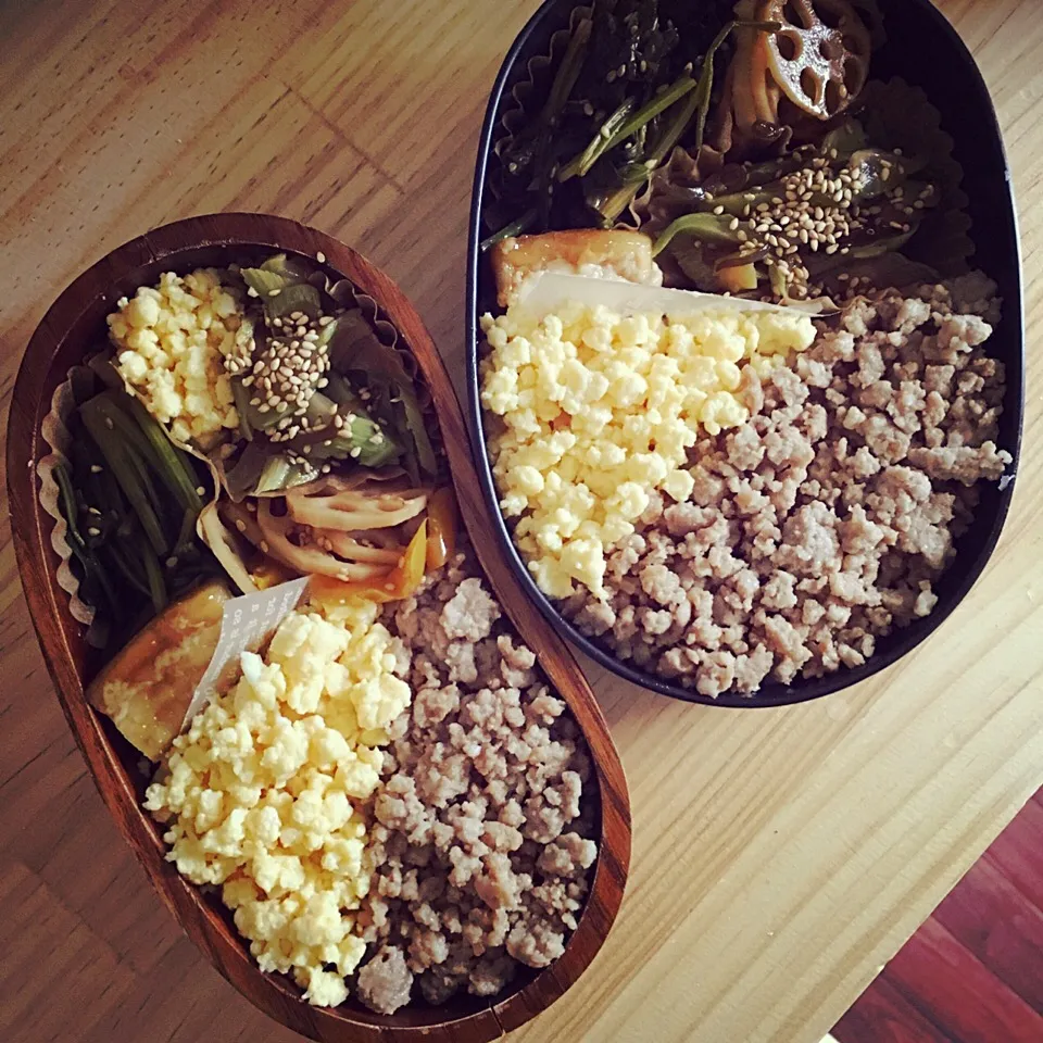 今日のお弁当♡2人分
#そぼろ#お弁当#お昼ごはん#たまご#二色弁当|ゆかさん