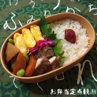 Snapdishの料理写真:お弁当|ぴゃたろうさん