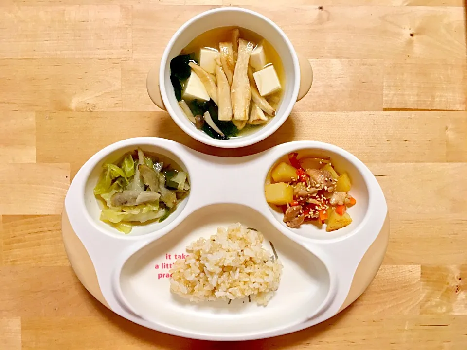 きゃべつとごぼうの煮物、鶏モモと根菜の照り焼き、ごはん、お味噌汁|つきこさん