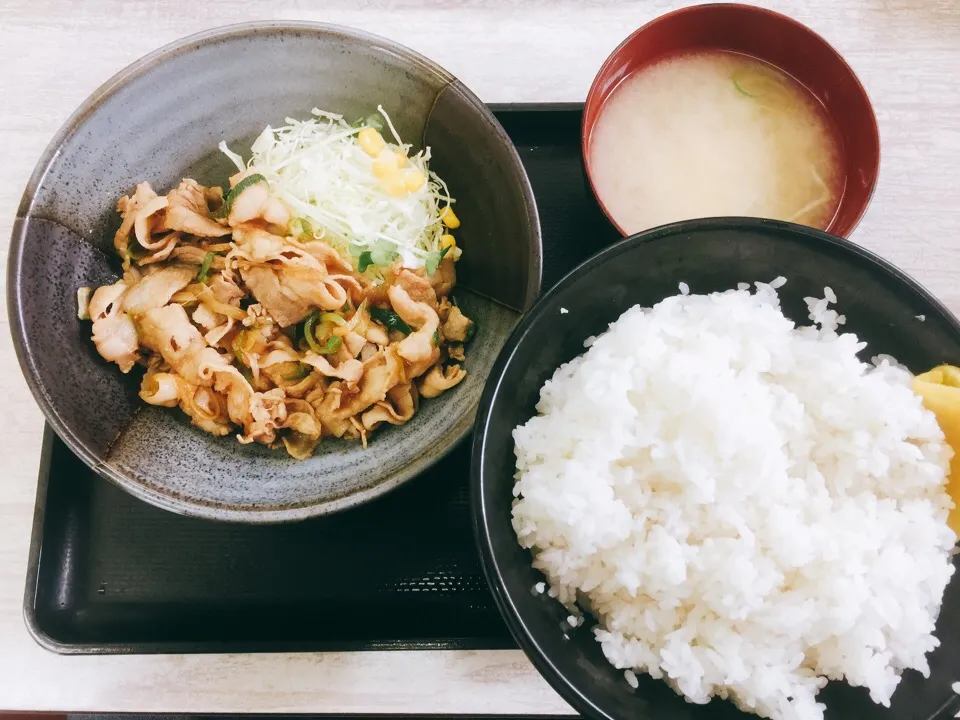 Snapdishの料理写真:@神奈川/すたみなライス肉飯増し◎|THE SUNSEAさん