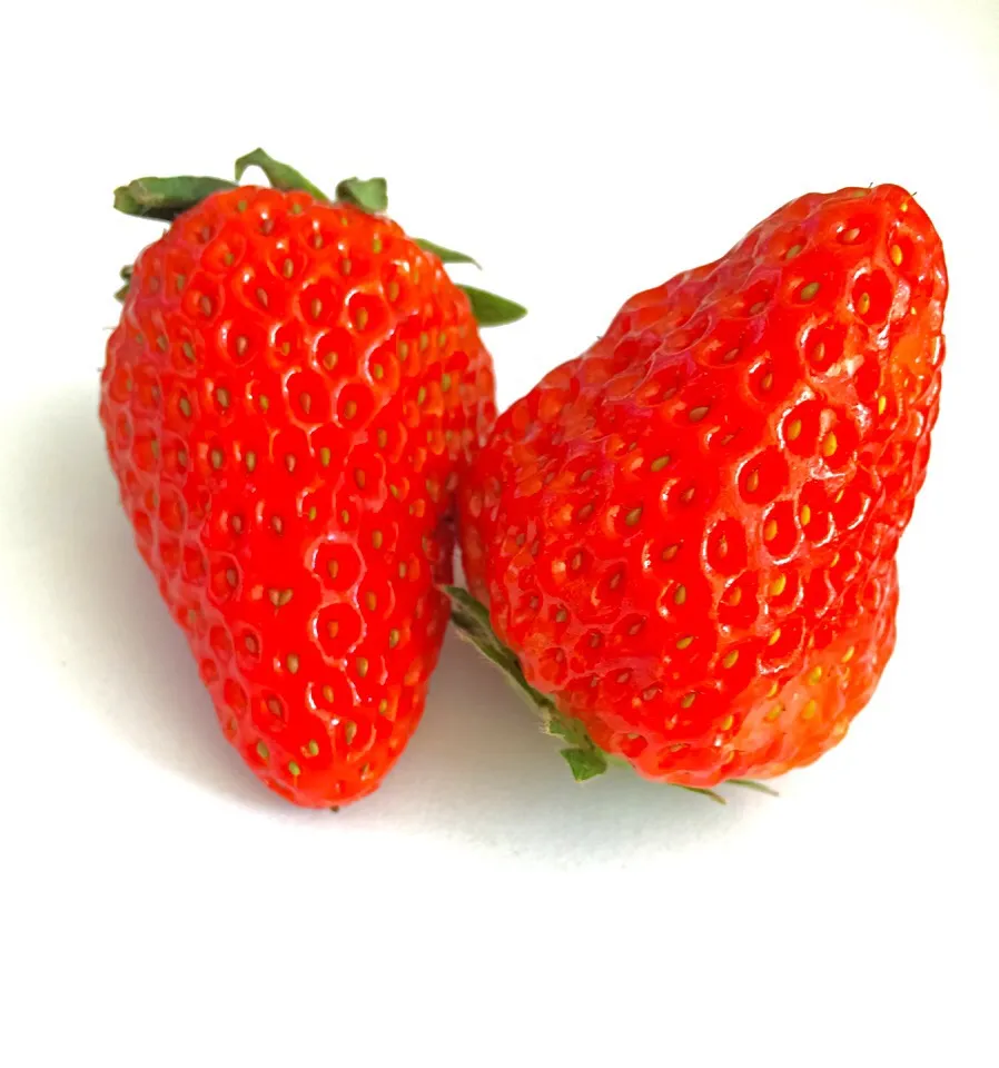 Yummy Strawberry|爱新觉罗肉丁さん