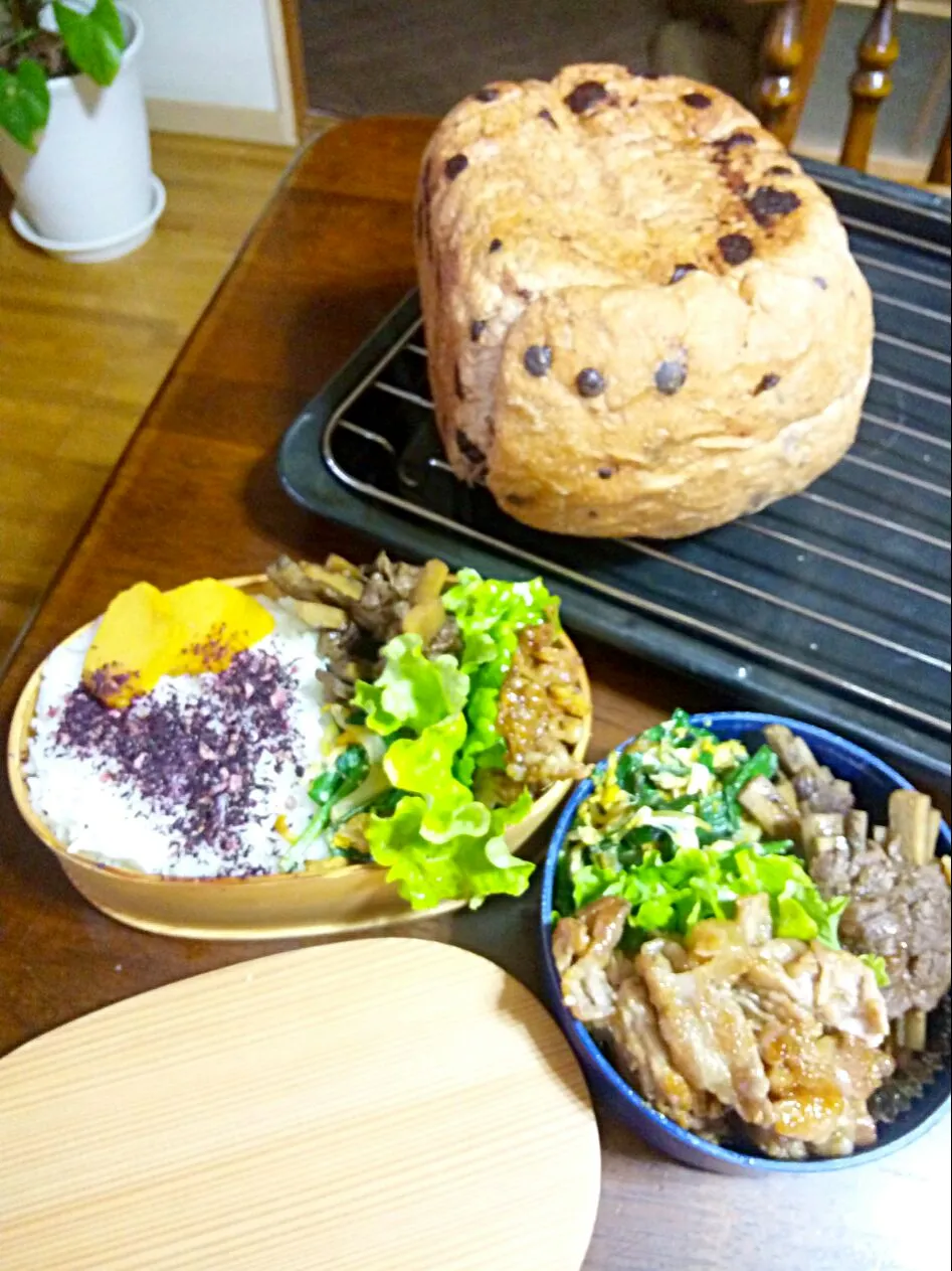 朝焼きチョコチップ食パンとお弁当✧*̣̩⋆̩☽⋆゜|さくたえさん