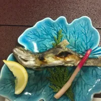 山女魚の塩焼き|奥本さん