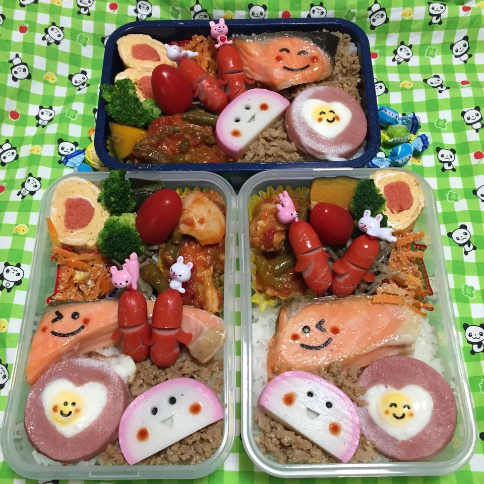 Snapdishの料理写真:2017年3月26日 高校生女子・帰省ムスコ＆オレ弁当♪今日はムスメお引越し♪|クッキングおやぢさん