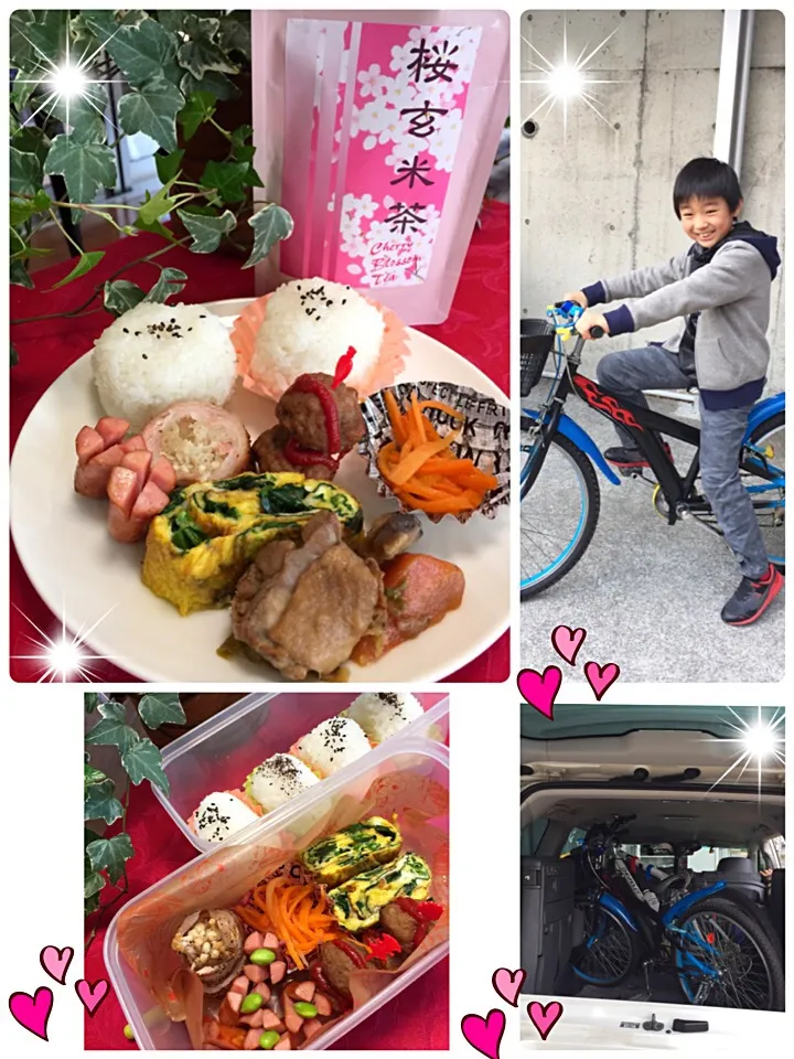 Snapdishの料理写真:ピクニック弁当🚲|みなさん