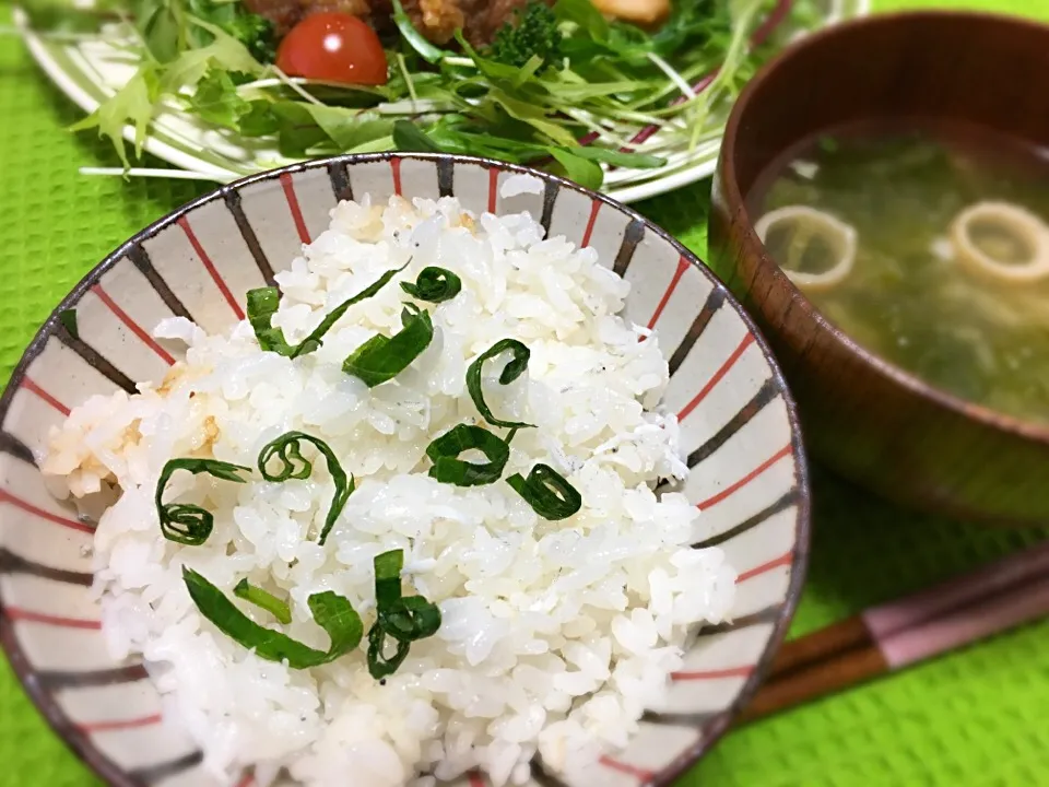 液体塩こうじで釜揚げしらすの炊き込みご飯|こぐまさん