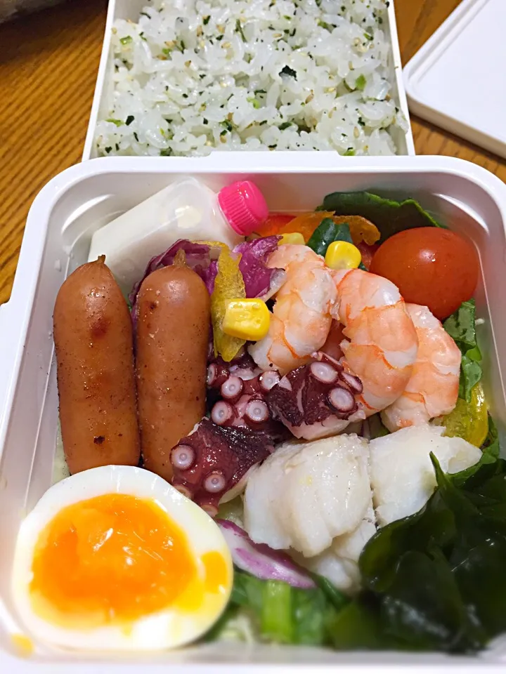 3月27日 海鮮サラダ弁当 🐙🍤🐟
⸜(๑⃙⃘'꒳'๑⃙⃘)⸝⋆*|かよっぺさん