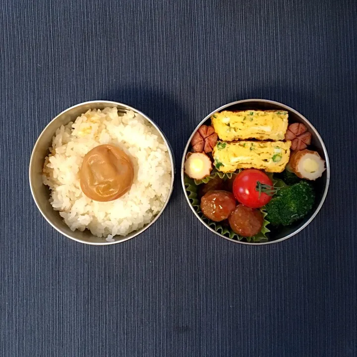 Snapdishの料理写真:今日のお弁当|nasupiyukoさん